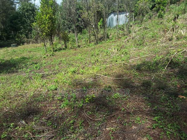 Lovely Quarter Acre Plots in Ngong - thumbnail 10