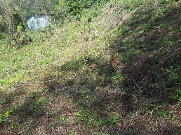 Lovely Quarter Acre Plots in Ngong - thumbnail 12