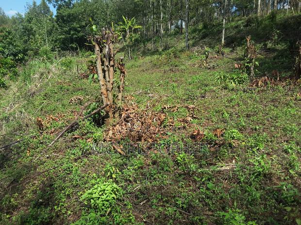 Lovely Quarter Acre Plots in Ngong - thumbnail 13