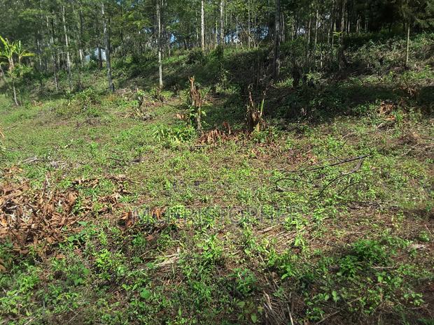 Lovely Quarter Acre Plots in Ngong - thumbnail 14