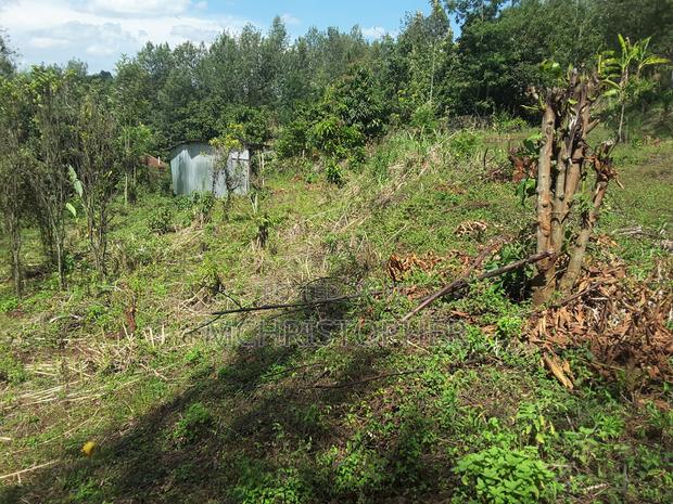 Lovely Quarter Acre Plots in Ngong - thumbnail 16