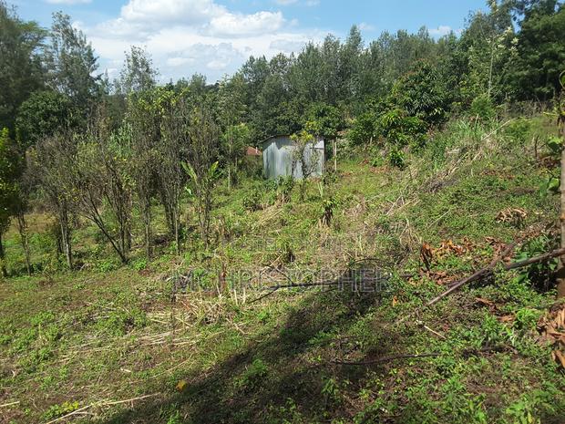 Lovely Quarter Acre Plots in Ngong - thumbnail 17