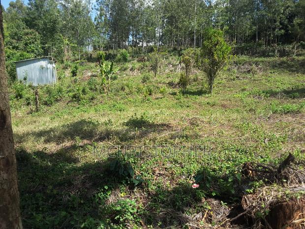 Lovely Quarter Acre Plots in Ngong - thumbnail 19