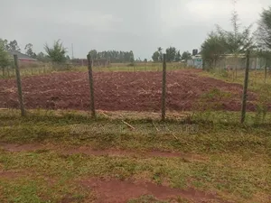 1/4 Acre Plot for Sale- Kipkenyo , Eldoret