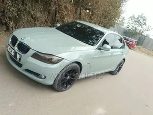 BMW 320i Sedan RWD 2010 Blue