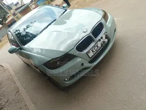 BMW 320i Sedan RWD 2010 Blue