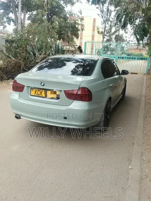 BMW 320i Sedan RWD 2010 Blue