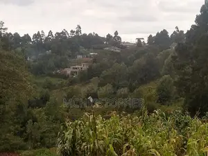 Stunning One Eighth Plots in Ngong