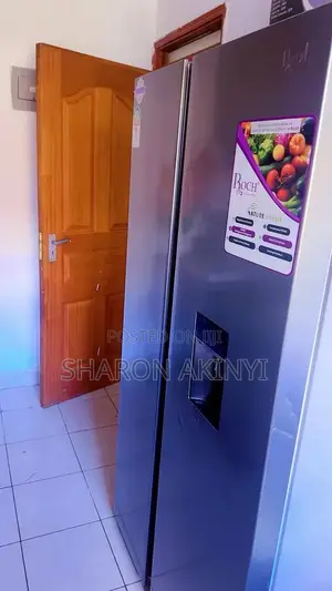Roch 439L Side-by-Side Fridge