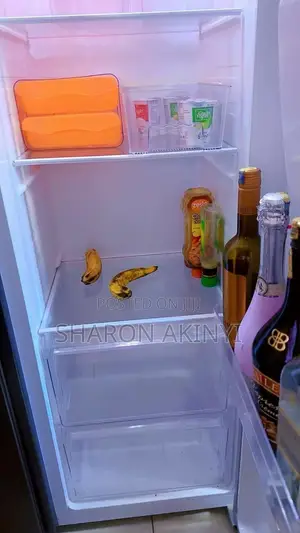 Roch 439L Side-by-Side Fridge