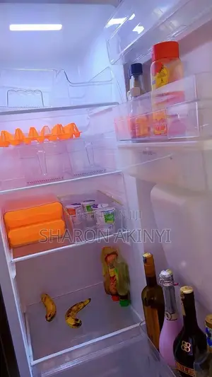 Roch 439L Side-by-Side Fridge