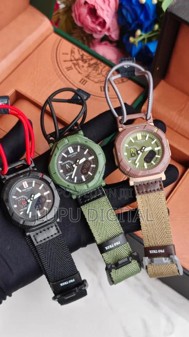 Casio Pro Trek - main view