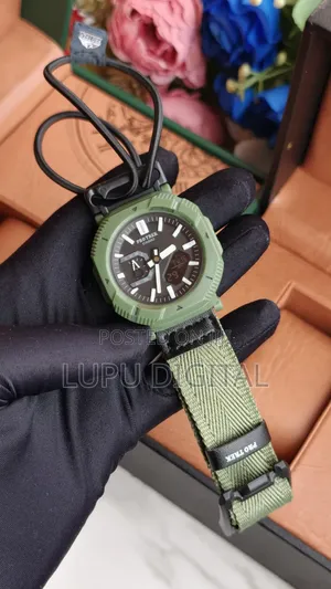 Casio Pro Trek