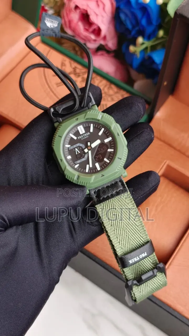 Casio Pro Trek
