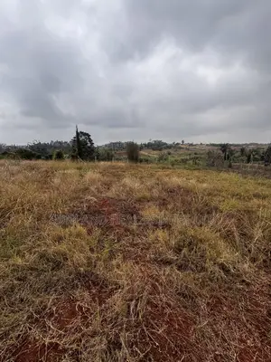 Half-Acre Plot for Sale in Dew Ridge, Tatu City Corridor