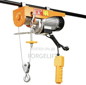 Vertical Electric Hoist 1t