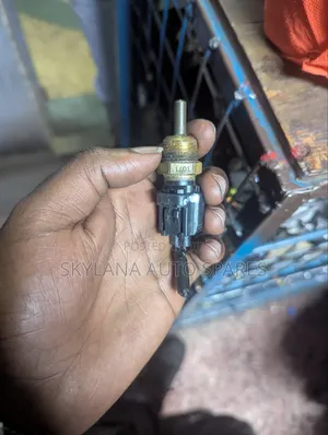 Honda Cold Start