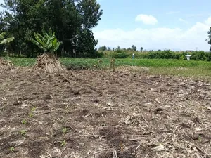 Sobea Shopping Centre Plots for Sale