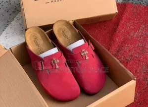 Birkenstock Clogs