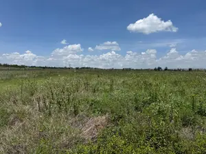 50x100 Plots for Sale in Kisaju – Beyond Serene Estate