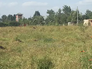 Prime 3 Acre Land in Ongata Rongai