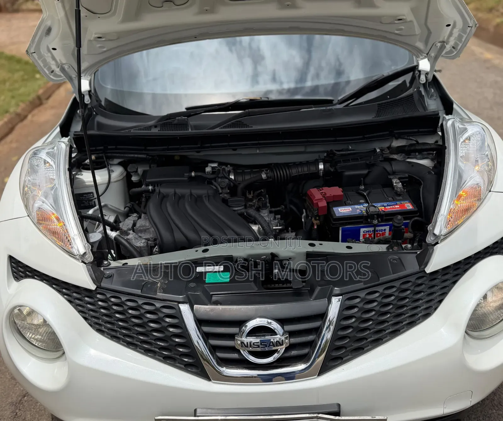 Nissan Juke 2014 White