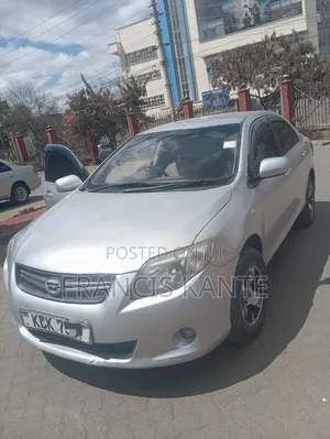 Toyota Axio 2010 Silver