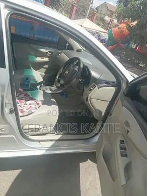 Toyota Axio 2010 Silver
