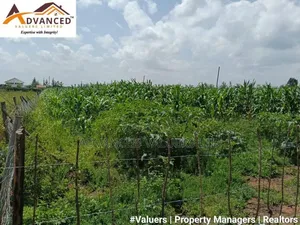 Prime 1 Acre-Chergei Kabarak