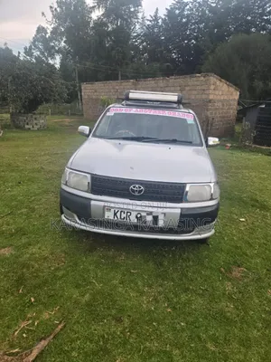 Toyota Probox 2012 Silver