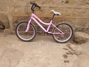 Bicycle in Good Condition