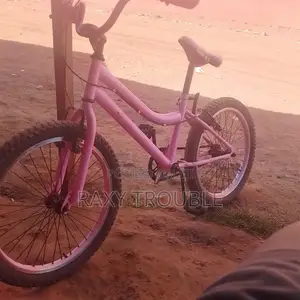 Bicycle in Good Condition