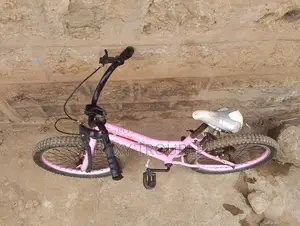 Bicycle in Good Condition