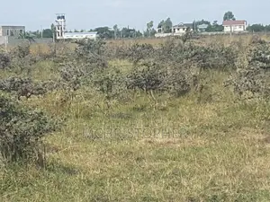 Prime One Acre Pieces of Land in Ongata Rongai