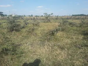Prime One Acre Pieces of Land in Ongata Rongai