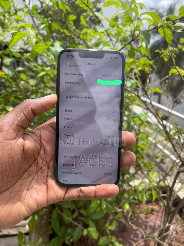 Apple iPhone 13 Pro 256 GB Green - main view