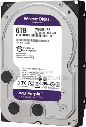 WD 6TB Purple Surveillance Internal Hard Drive HDD - 6 Gb/S- WD60PURZ