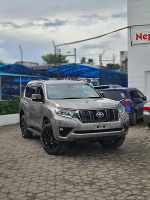 Toyota Land Cruiser Prado 2019 Gray