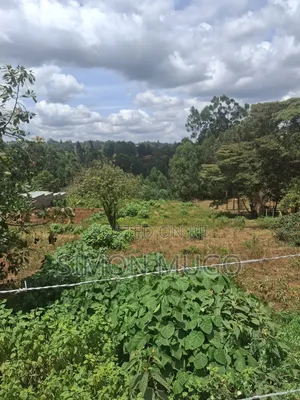 Ruaka Commercial 100x100, 100x200 Fronting Limuru Road