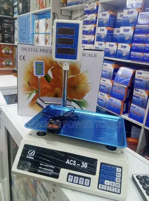 Digital Weighing Scale ACS-30 / Weighing Machine Acs 30 Digital Scale