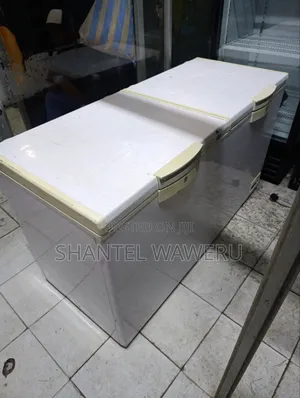 Deep Freezer 500litres