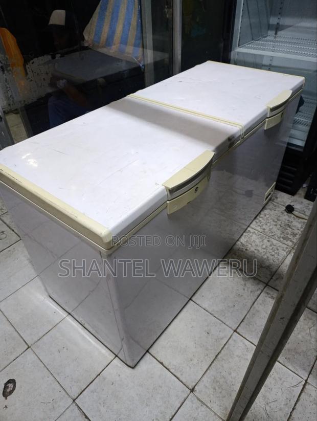 Deep Freezer 500litres - main view