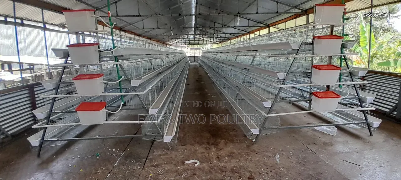 4 T Chicken Cages