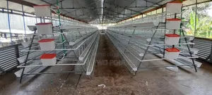 4 T Chicken Cages
