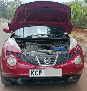 Nissan Juke 2011 Maroon