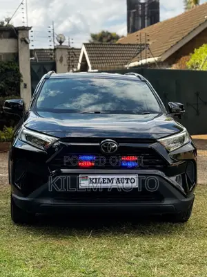 Toyota RAV4 2019 Black