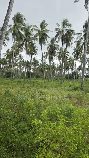 Prime 12acres for Sale in Kilifi Tezo