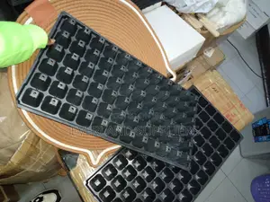Easy-Care Seedling Trays - Wholesale