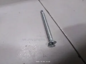 Self Tapping /Drilling Screws 2"