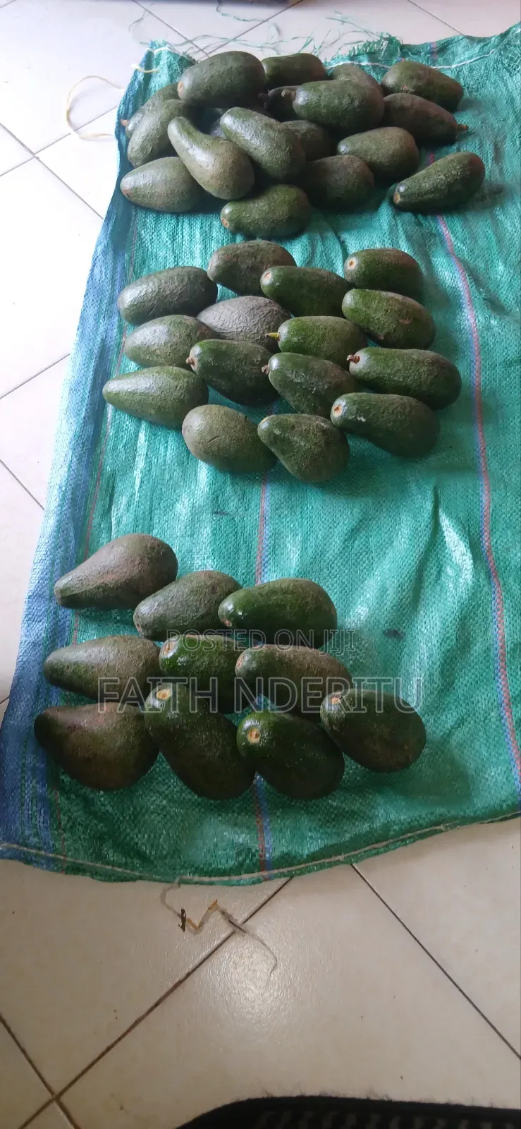 Fuerte Ovacados